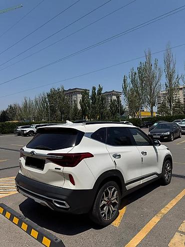 Kia: Kia Seltos: 2019 г., 1.6 л, Автомат, Бензин, Кроссовер — 3