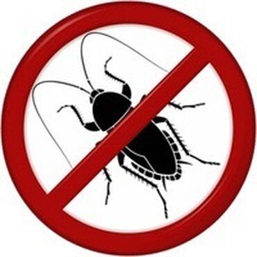уничтожение насекомых: Дезинфекция, дезинсекция | Клопы, Блохи, Тараканы | Транспорт, Офисы, Квартиры