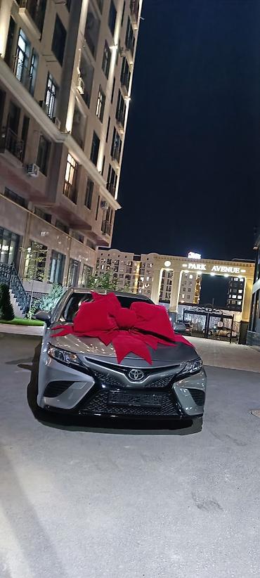 Организация мероприятий: Организация мероприятий | Гелевые шары, Ведущий, тамада, Аниматоры — 21