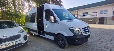 Mercedes-Benz: Mercedes-Benz Спринтер: 2009 г., 2.2 л, Механика, Дизель, Бус