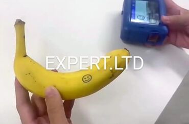 Digər ticarət printerləri və skanerləri: Yeni sənaye tipli mini tarix vuran aparatlar satılır. Əl printerinin — 6