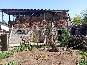 Долгосрочная аренда домов: Продам одноэтажный дом. Характеристики и планировка: - Просторная — 9