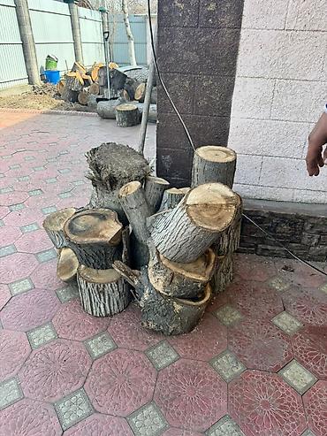 Спил деревьев, заготовка дров: Бак кыйабыз отун аралайбыз. ар кандай кыйынчылыктагы 24/7 чалып — 15