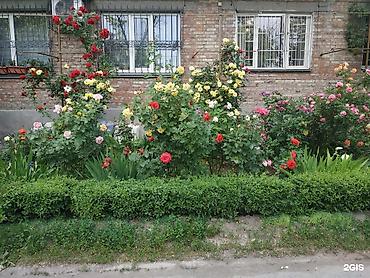 Продажа квартир: 2 комнаты, 45 м², Индивидуалка, 1 этаж, Старый ремонт — 7