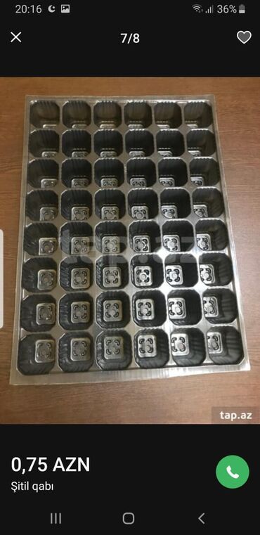 İstixanalar və parniklər: Şitil ücun qablarr qarpiz toxumlari uçun vathcapa yazn rayonlara — 7