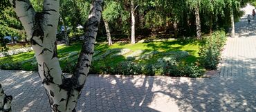 Иссык-Куль 2025: Коттедж, ЦО"КАПРИЗ ЦО Каприз, Чолпон-Ата, Детская площадка, Парковка, стоянка, Охраняемая территория — 24