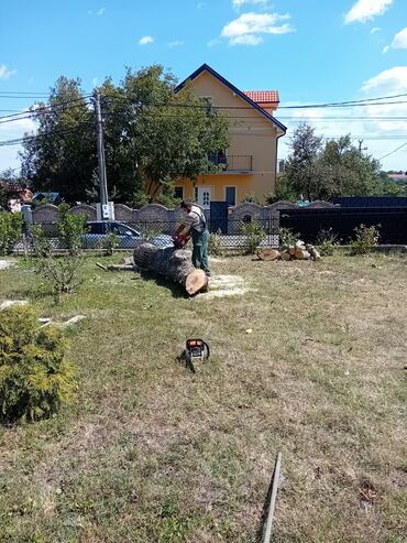 Građevinarstvo i rekonstrukcija: U ponudi su profesionalne hortikulturne usluge koje uključuju košenje — 3