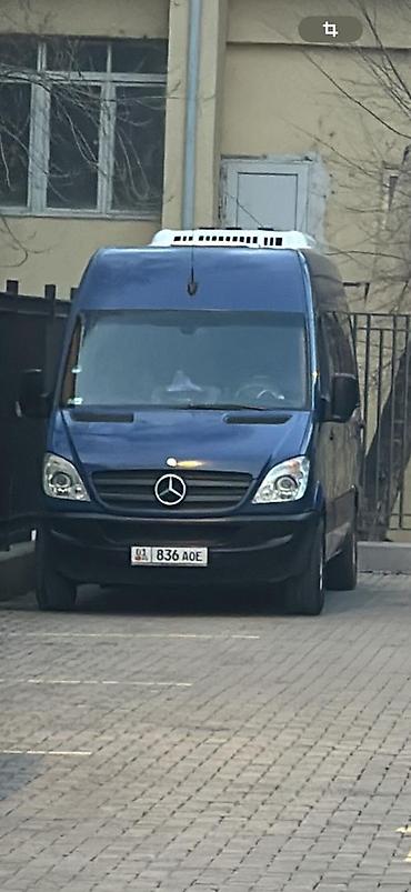 Туристические услуги: Sprinter VIP - Комфортабельный салон бизнес‑класса: индивидуальные — 8