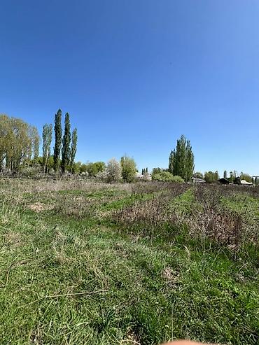 Продажа коттеджей и домов: Срочно продается дом с участком 35 соток ( по факту 45 соток) в селе — 8