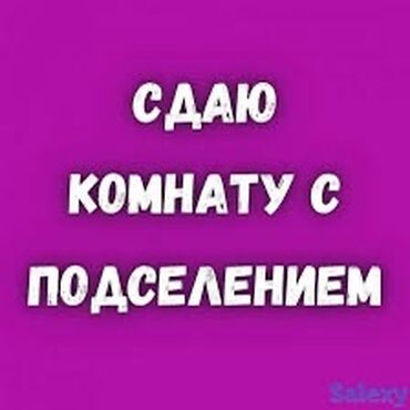 дубинка бишкек: 2 комнаты, Собственник, С подселением, С мебелью полностью