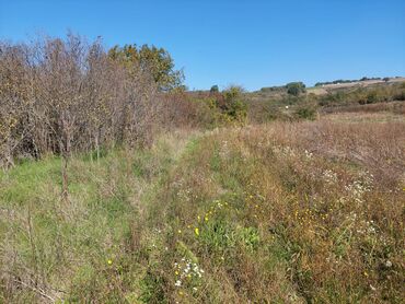 Prodaja zemljišta: 18 ares, Vlasnik na lalafo.rs — 9 Prodaja zemljišta: 18 ares, Vlasnik — 9