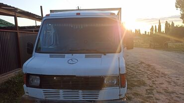 грузопассажирский спринтер: Mercedes-Benz Sprinter Classic: 1991 г., 2.3 л, Механика, Дизель, Бус