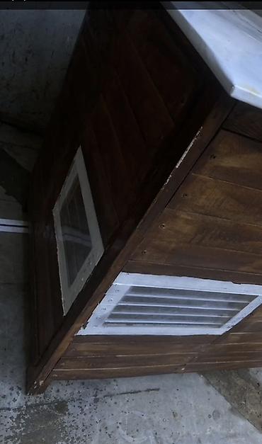 balaca itlər: It / pishik evi, shekilde balaca gorunur boyukdu, 170 azn e almisham — 2