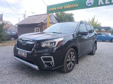передний бампер субару форестер: Subaru Forester – свежий пригнан состояние идеальное лёгкий Карфакс