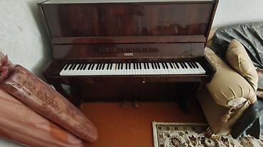İdman və hobbi: Şverin (Schwerin) upright pianino - Korpus: tünd qəhvəyi, yüksək — 5