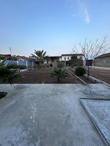 qalay: 5 sot, Kupça (Çıxarış) — 2