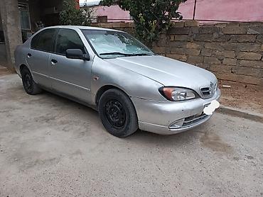 afdamabiler: Nissan Primera: 1.6 l | 1999 il Sedan — 1