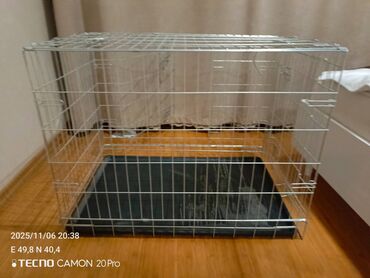 купить кошку в баку: Satılır santımın ölmediyin üçün bilmirem yaxşı vəziyyətdədir 110