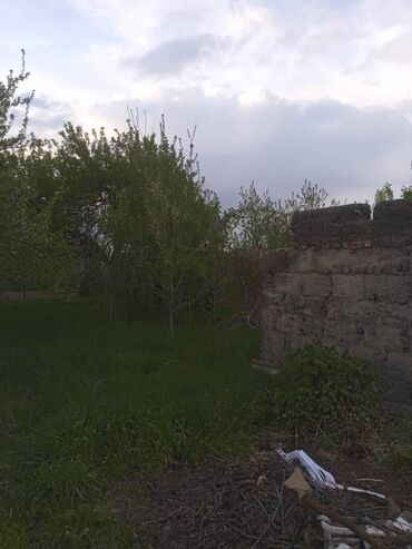 Рестораны, кафе: 5 соток, Для строительства