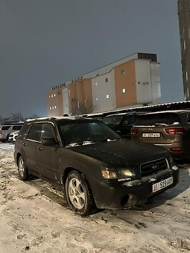 Subaru: Subaru Forester: 2003 г., Автомат, Бензин, Универсал — 5