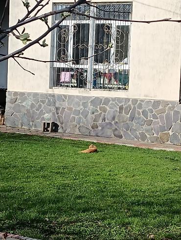 Долгосрочная аренда домов: 350 м², 10 комнат, Утепленный, Кондиционер, Парковка — 4