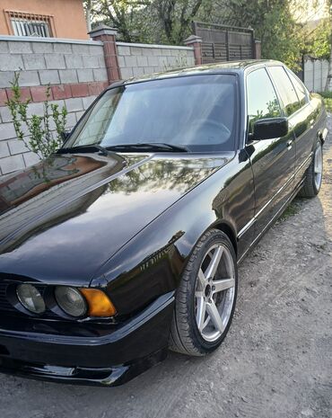 BMW: BMW 5 series: 1994 г., 2.5 л, Механика, Бензин, Седан