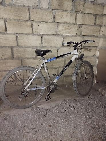 velosiped 12: Dağ tipli velosiped – Navigator (Stinger) seriyası cùzi xərci var — 2