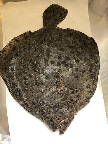 Повара: Повар Жарщик. С опытом — 14