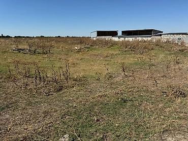 Продажа участков: 60 соток, Красная книга — 11