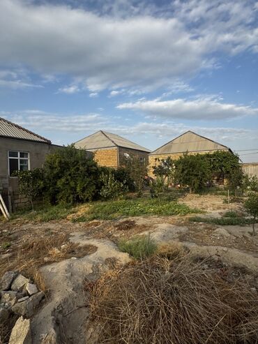 Kirayə torpaq sahələri: 6 sot Tikinti, İşıq, Kanalizasiya, Qaz — 3