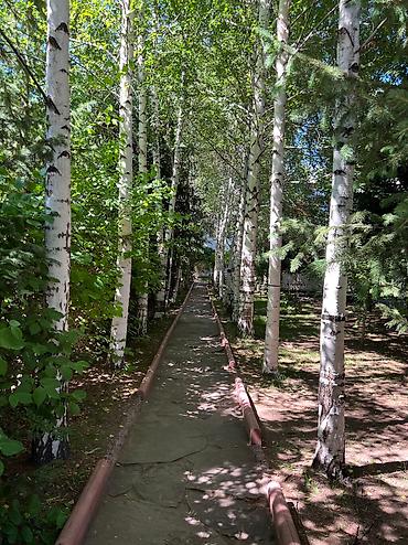 Иссык-Куль 2026: Номер, ГД Султан Бостери, Барбекю, Детская площадка, Закрытый пляж — 12