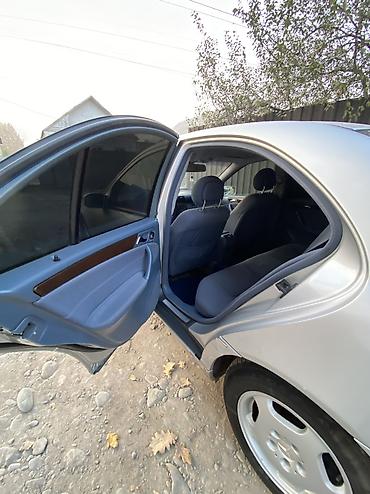 m111 2.3 kompressor купить: Mercedes-Benz C-Class: 2003 г., 1.8 л, Автомат, Бензин, Седан — 8