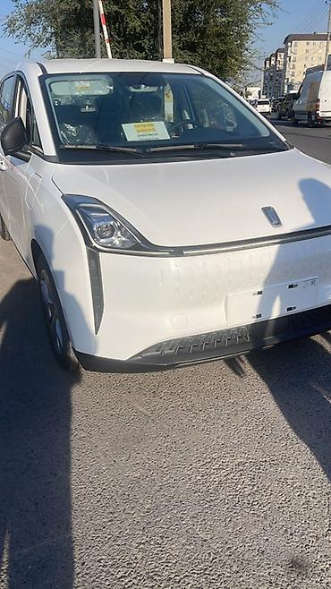 bid e2: FAW Besturn: 2024 г., Автомат, Электромобиль, Минивэн — 4