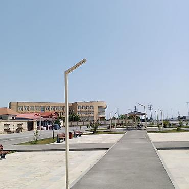 kalla bitkisi haqqinda melumat: Bağ işıqı Yerüstü — 1