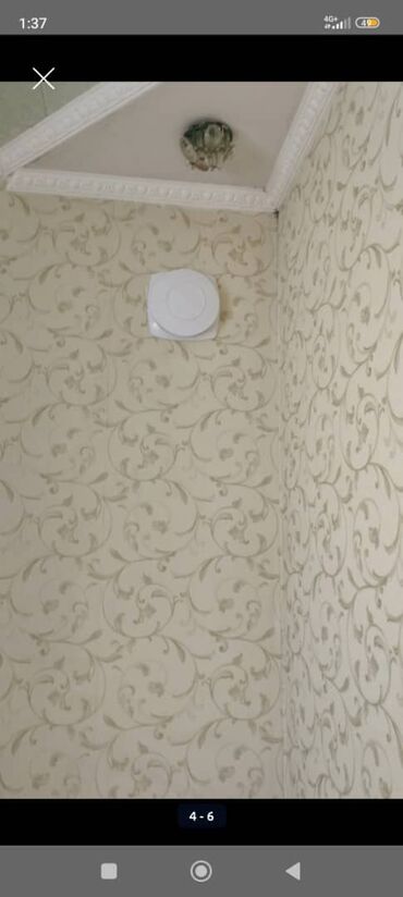 Терморегуляторы: Ассалому алейкум, азыр кун сууп айнектер бууланышып, дуалдар когоруп — 1