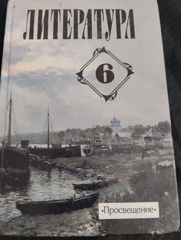 книга по русскому языку 6 класс л м бреусенко матохина: Литература 6 класс в отличном состоянии