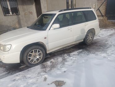 корандо машина цена: Subaru Forester: 2000 г., 0.2 л, Автомат, Газ, Универсал