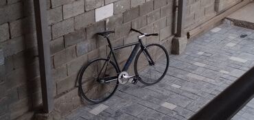 гоночный велосипед: Фикс stealth veloline: фреймсет рама алюм вилка фулкарбон вилсет зад