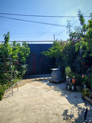 Digər bağ, çöl mebeli: Hövsan Zeytun qesebesi Beton yoluna 5deqiqelik məsafə.Binə və — 2