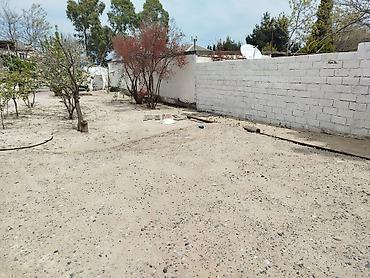 goradil: 10 sot, Tikinti, Maklerlər narahat etməsin, Kupça (Çıxarış) — 5