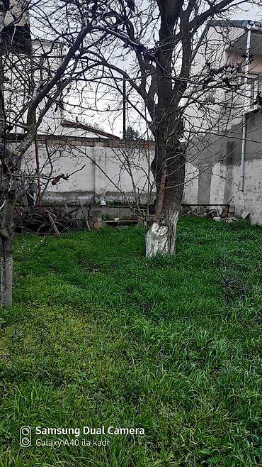 bine evler: Tikinti — 4