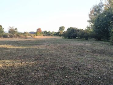 Torpaq sahələrinin satışı: 21 sot, Tikinti, Mülkiyyətçi, Kupça (Çıxarış) — 5