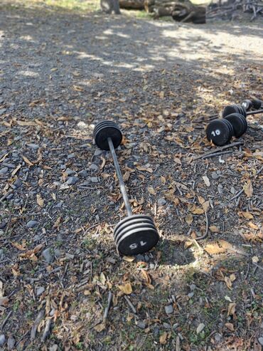 Giryalar: Girya, Yeni — 9