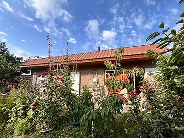 Кыймылсыз мүлк: Продается дом в городе Балыкчы с земельным участком. Дом одноэтажный — 4