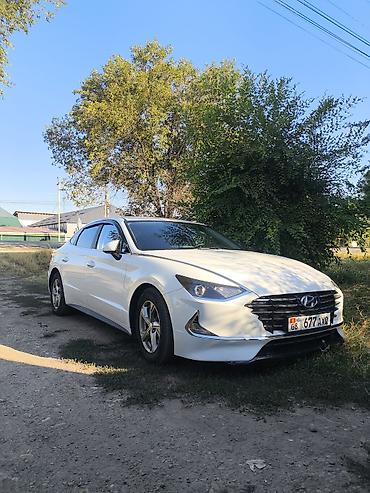 корейский мопед: Hyundai Sonata: 2019 г., 2 л, Автомат, Бензин, Седан — 3