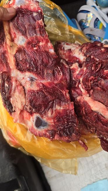 кролики мясо: Бесплатная доставка — 5