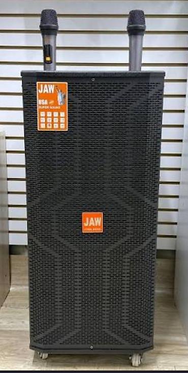 rant ace: Калонки jaw с встроенным усилителем 2 микрафонами Новые — 1