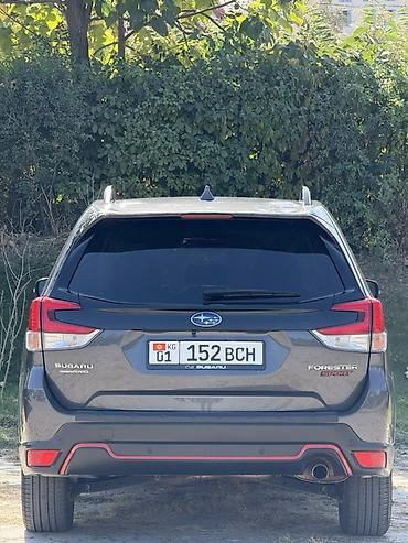 обвес из стекловолокна: Subaru Forester: 2020 г., 2.5 л, Автомат, Бензин, Кроссовер — 6