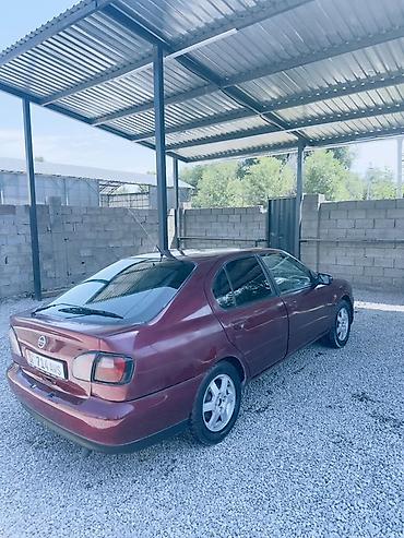 infinity g35: Nissan Primera: 2000 г., 2 л, Автомат, Бензин, Седан — 2
