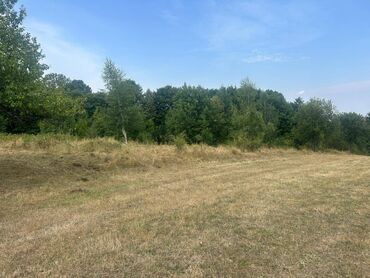 Prodaja zemljišta: 6 ares, Građevinarstvo, Vlasnik — 7
